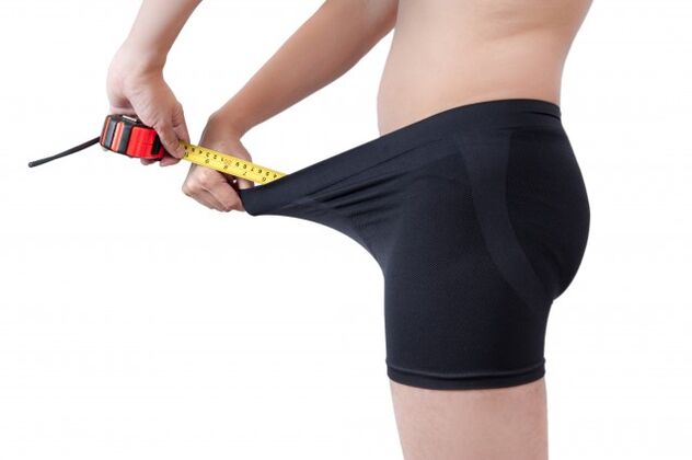 measuring the length of a male penis